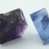 Lot de 2 fluorines de la carrière du Boltry à Seilles en Belgique.