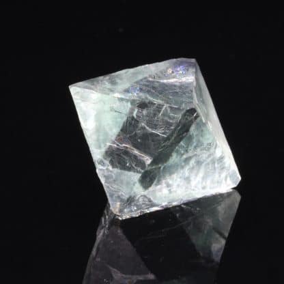 Fluorine bleue, carrière de Boltry, Seilles, Belgique.