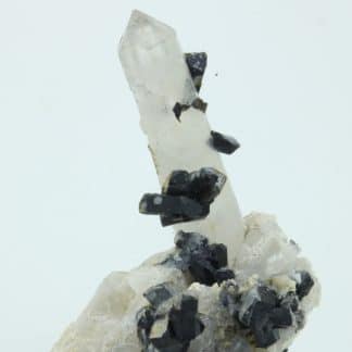 Ilvaïte et quartz, Campiglia Marittima, Grossetto, Italie.