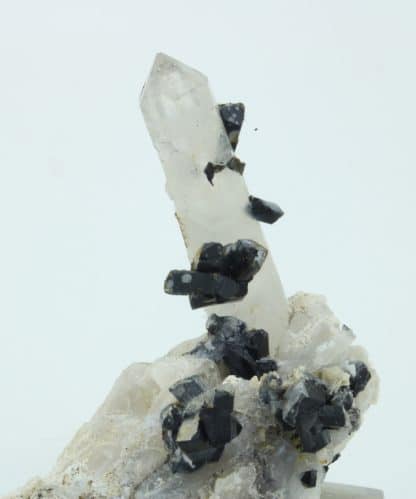 Ilvaïte et quartz, Campiglia Marittima, Grossetto, Italie.