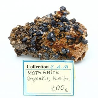 Mottramite, Berg Aukas mine, Grootfontein, Otjozondjupa Region, Namibie.