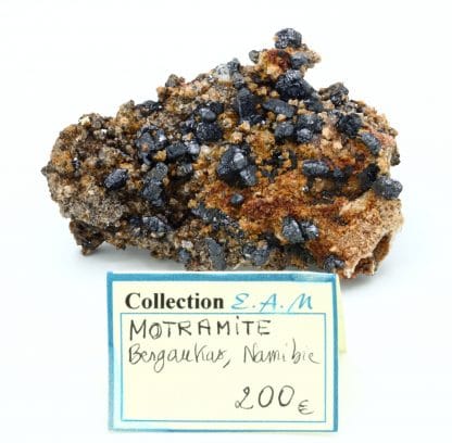 Mottramite, Berg Aukas mine, Grootfontein, Otjozondjupa Region, Namibie.