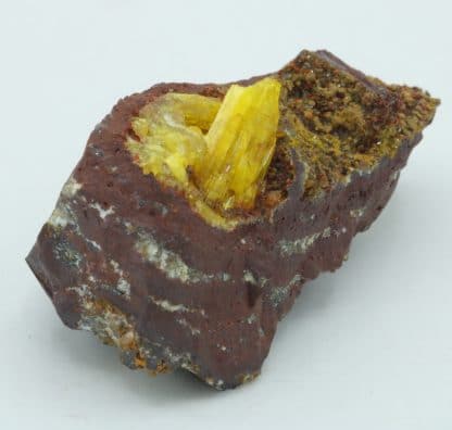 Legrandite, mine d'Ojuela, Mexique.