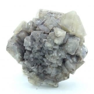 Mellite, mine de charbon de Tatabanya, Hongrie.