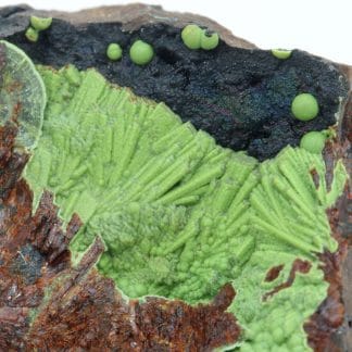 Eléonorite, Wavellite, Polk county, Arkansas, USA.