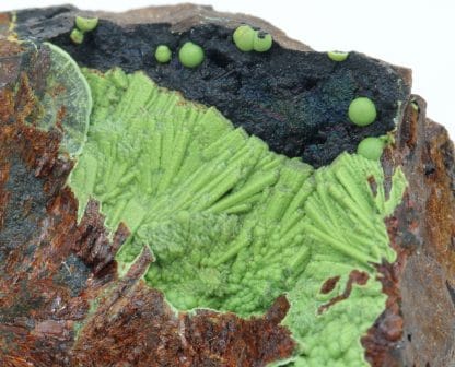 Eléonorite, Wavellite, Polk county, Arkansas, USA.