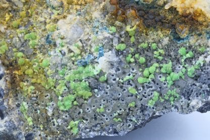 Variscite, carrière de Pannecé, Loire-Atlantique.