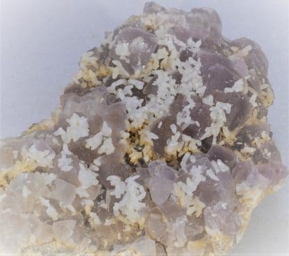 Calcite sur Fluorine, Saint-Georges-les-Bains, Ardèche.