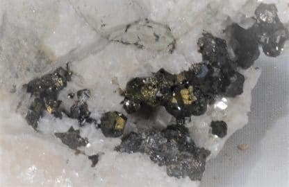 Sphalérite (Blende) et Chalcopyrite, Var, France.