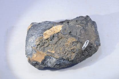 Pyrolusite, Savigny-Poil-Fol, Nièvre.