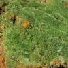 Pyromorphite aciculaire, Saint Salvy, Tarn.