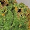 Pyromorphite aciculaire, Saint Salvy, Tarn.