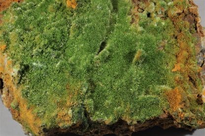 Pyromorphite aciculaire, Saint Salvy, Tarn.