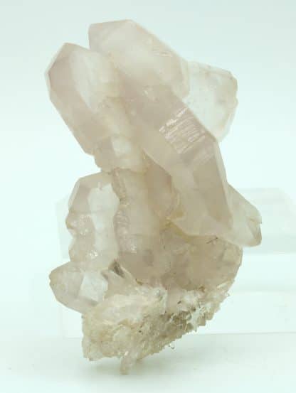 Quartz à âme rose, Le Chatelard, Vallorcine, Haute-Savoie.Quartz à âme rose, Le Chatelard, Vallorcine, Haute-Savoie.