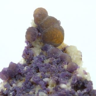 Fluorite bicolore sur quartz de Buxières-les-Mines, Allier (03).