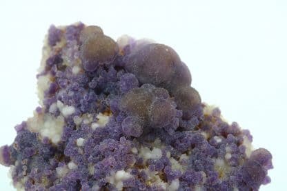 Fluorite bicolore sur quartz de Buxières-les-Mines, Allier (03).