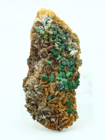 Tétraédrite, malachite sur dolomite, Usclas du Bosc, Loiras, Hérault.