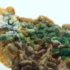 Tétraédrite, malachite sur dolomite, Usclas du Bosc, Loiras, Hérault.