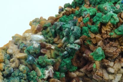 Tétraédrite, malachite sur dolomite, Usclas du Bosc, Loiras, Hérault.