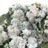 Calcite rose sur chalcopyrite, Laguépie, Tarn-et-Garonne.