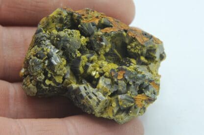 Pyromorphite verte et noire, Les Farges, Ussel, Corrèze, Limousin.