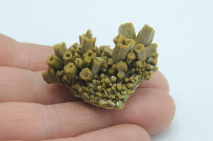 Pyromorphite, Les Farges, Ussel, Corrèze.