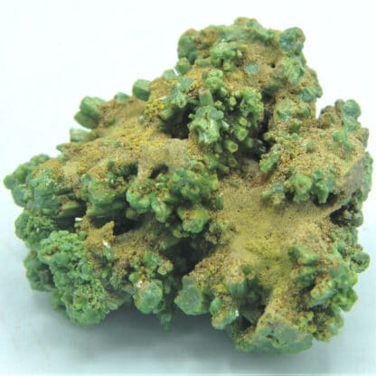 Pyromorphite verte, Les Farges, Ussel, Corrèze, Limousin.