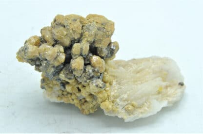 Pyromorphite sur barytine crêtée, Les Farges, Ussel, Corrèze.