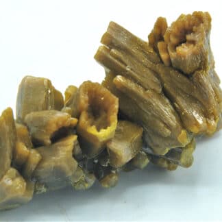 Pyromorphite biterminée, Les Farges, Ussel, Corrèze, Limousin.