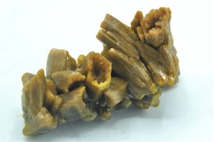 Pyromorphite biterminée, Les Farges, Ussel, Corrèze, Limousin.