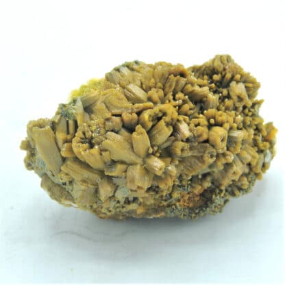 Pyromorphite double génération sur Barytine, Les Farges, Ussel, Corrèze.