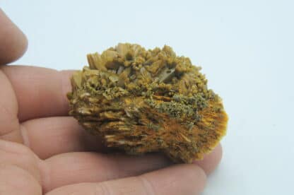 Pyromorphite double génération sur Barytine, Les Farges, Ussel, Corrèze.