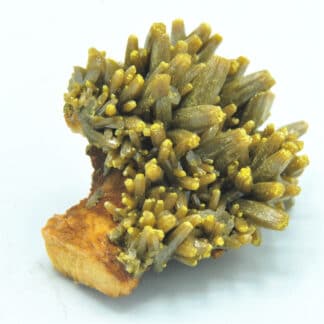 Pyromorphite sur Barytine, Les Farges, Ussel, Corrèze, Limousin.