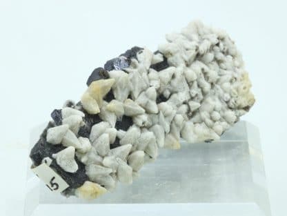 Alstonite, Mine de Nentsberry Haggs, Alston Moor, Royaume-Uni.