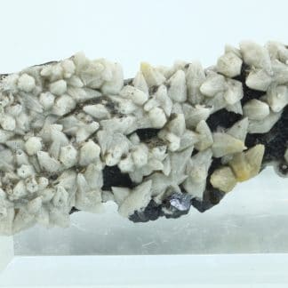 Alstonite, Mine de Nentsberry Haggs, Alston Moor, Angleterre, Royaume-Uni.