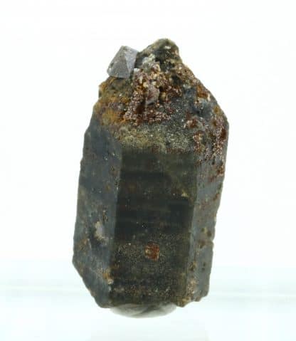 Anatase sur quartz et chlorite, massif de la Lauzière, Savoie.