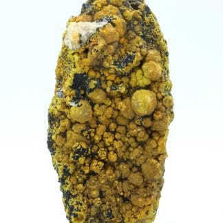 Campylite, Dry Gill, Allerdale, Cumbria, Royaume-Uni.