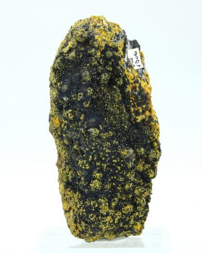 Campylite, Dry Gill, Allerdale, Cumbria, Royaume-Uni.