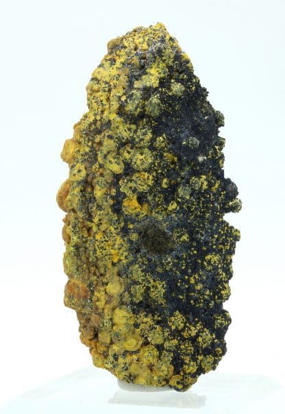 Campylite, Dry Gill, Allerdale, Cumbria, Royaume-Uni.