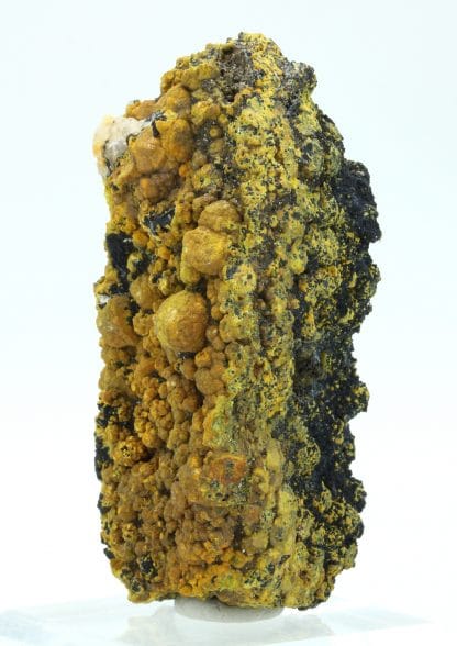 Campylite, Dry Gill, Allerdale, Cumbria, Royaume-Uni.