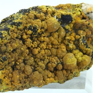 Campylite, Dry Gill, Allerdale, Cumbria, Royaume-Uni.