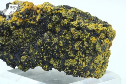 Campylite, Dry Gill, Allerdale, Cumbria, Royaume-Uni.