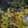 Campylite, Dry Gill, Allerdale, Cumbria, Royaume-Uni.