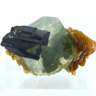 Apatite, Schorl et Muscovite, Skardu District, Gilgit, Baltistan, Pakistan.