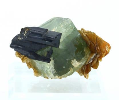 Apatite, Schorl et Muscovite, Skardu District, Gilgit, Baltistan, Pakistan.