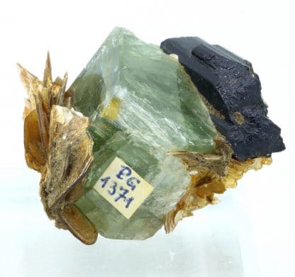 Apatite, Schorl, Muscovite, Skardu District, Gilgit-Baltistan, Pakistan.