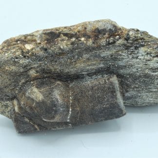 Staurolite en macle de Saint André, Coray - Scaër, Finistère, Bretagne.