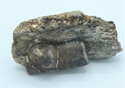 Staurolite en macle de Saint André, Coray - Scaër, Finistère, Bretagne.