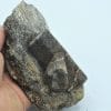 Staurolite en macle de Saint André, Coray - Scaër, Finistère, Bretagne.