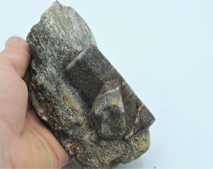 Staurolite en macle de Saint André, Coray - Scaër, Finistère, Bretagne.